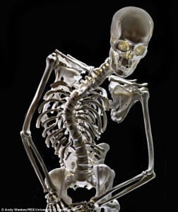 Members Only 39 – Richard III’s Wonky Back with Hallie Smith