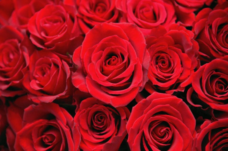 305 – A Very Special BHP Valentine’s Day Episode